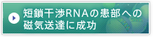 û������RNA�δ����ؤμ�����ã������
