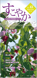�����䤫����ե��᡼�����No43