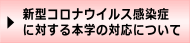 ʥ륹Ϣ 