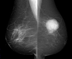 �ޥ�⥰��ե�����