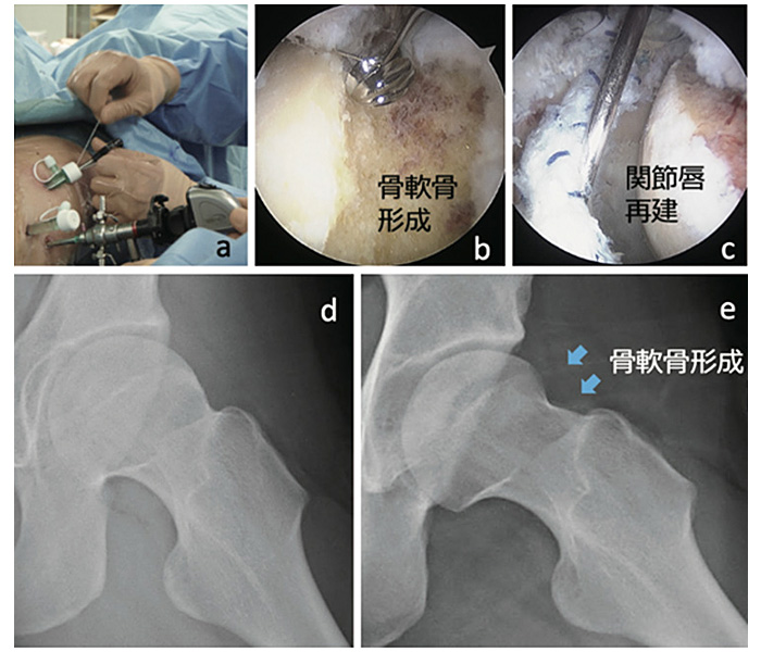 �Դ�����벼���