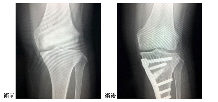 ��秲�¸�͹��Դ���