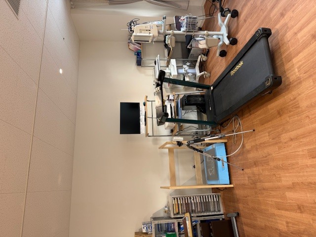 ������ˡ PT