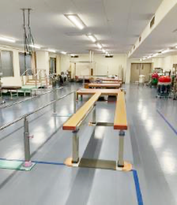 ������ˡ PT