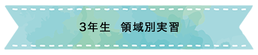 3年生 領域別実習